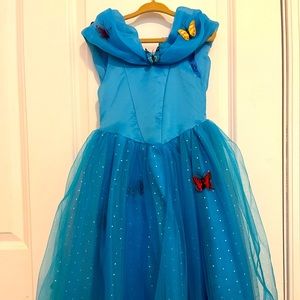 Cinderella costume/dress
